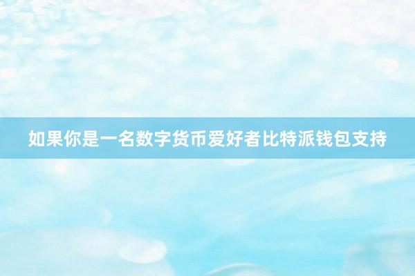 如果你是一名数字货币爱好者比特派钱包支持