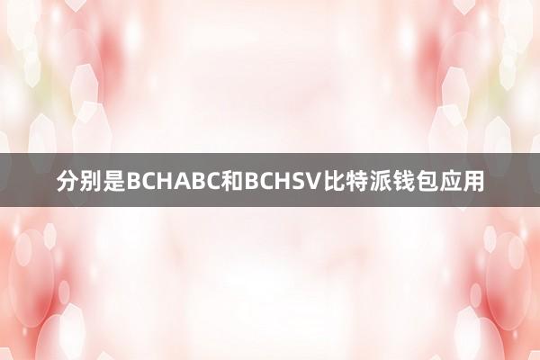 分别是BCHABC和BCHSV比特派钱包应用