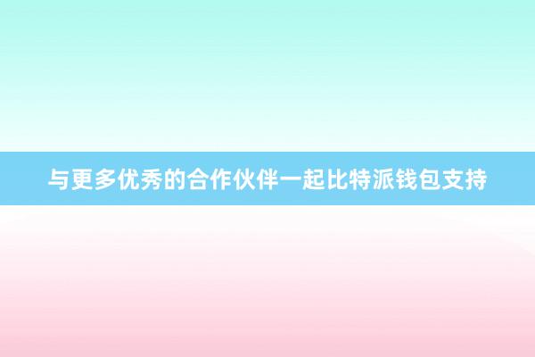 与更多优秀的合作伙伴一起比特派钱包支持