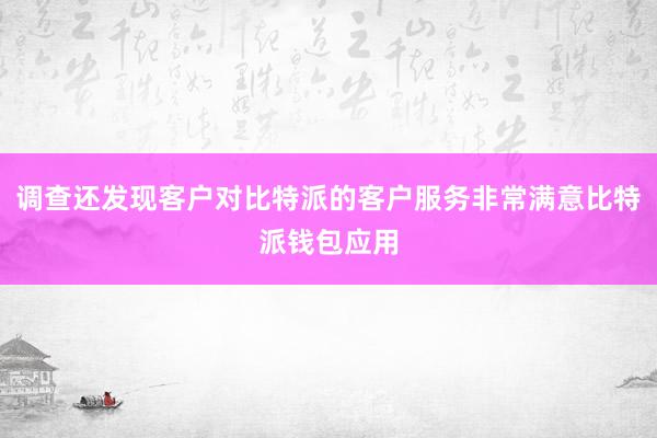 调查还发现客户对比特派的客户服务非常满意比特派钱包应用