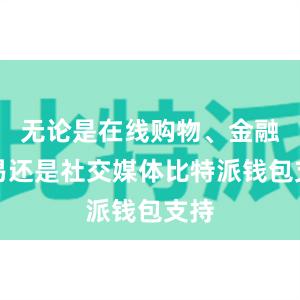 无论是在线购物、金融交易还是社交媒体比特派钱包支持