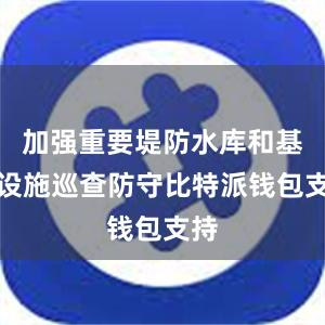 加强重要堤防水库和基础设施巡查防守比特派钱包支持